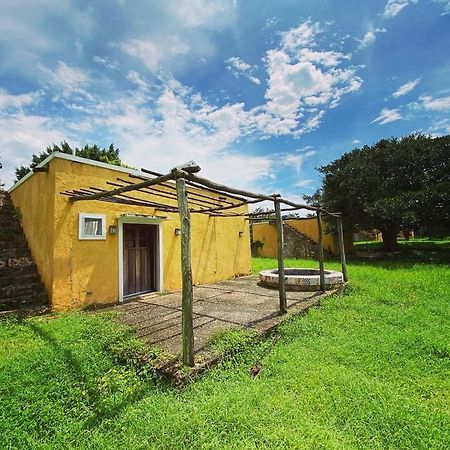 Villa En Hacienda Noox Kankabal Cholul  Zewnętrze zdjęcie